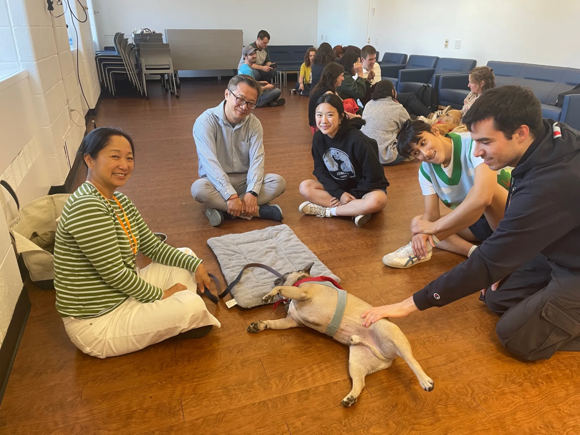 Five people posing and petting a french bulldog 