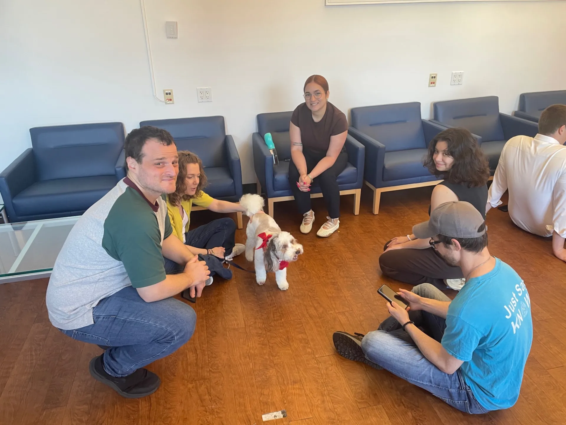 Staff seated while playing with havapoo dog 