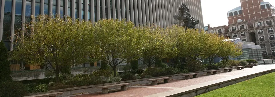 Law School 